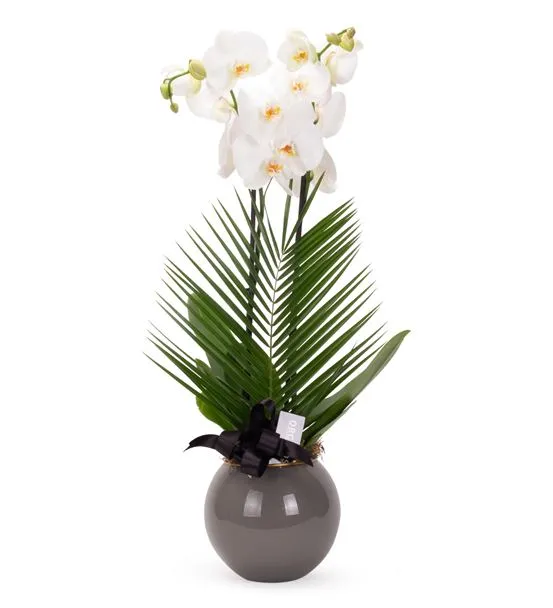 Snowflakes Dance White Premium Orkide Tasarım